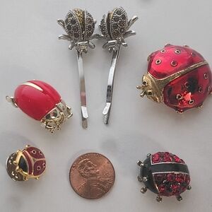 Set of Ladybug Hair Accessories and Brooches